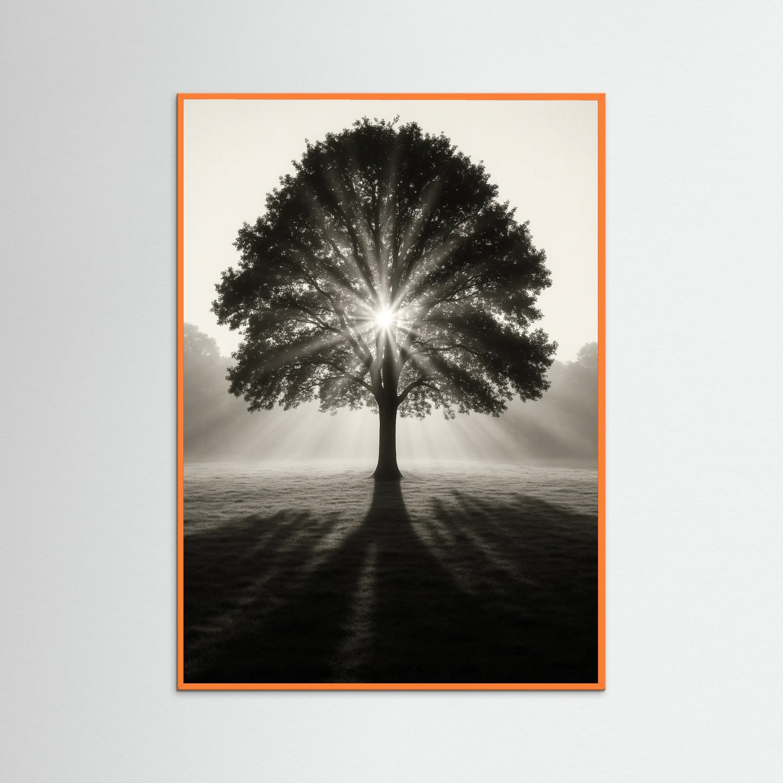 Orange Wood photo Sunlit Tree