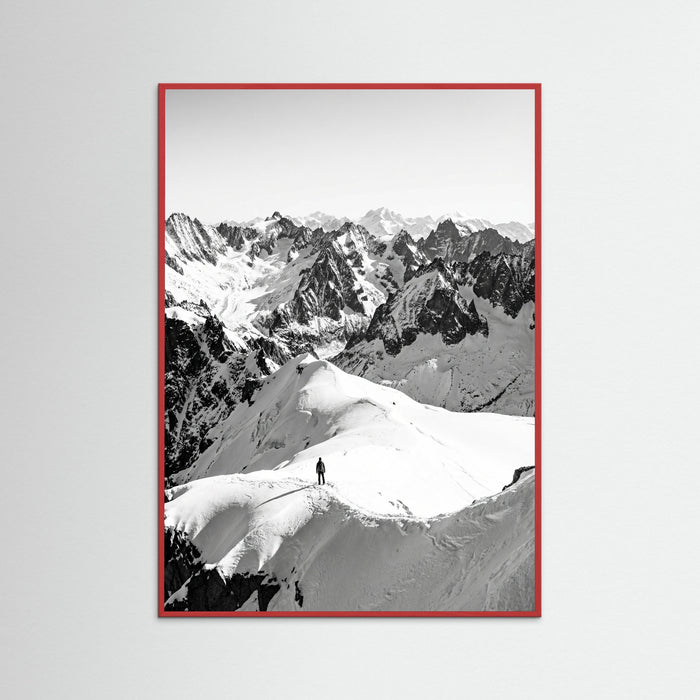 Red Wood Alpine Solitude