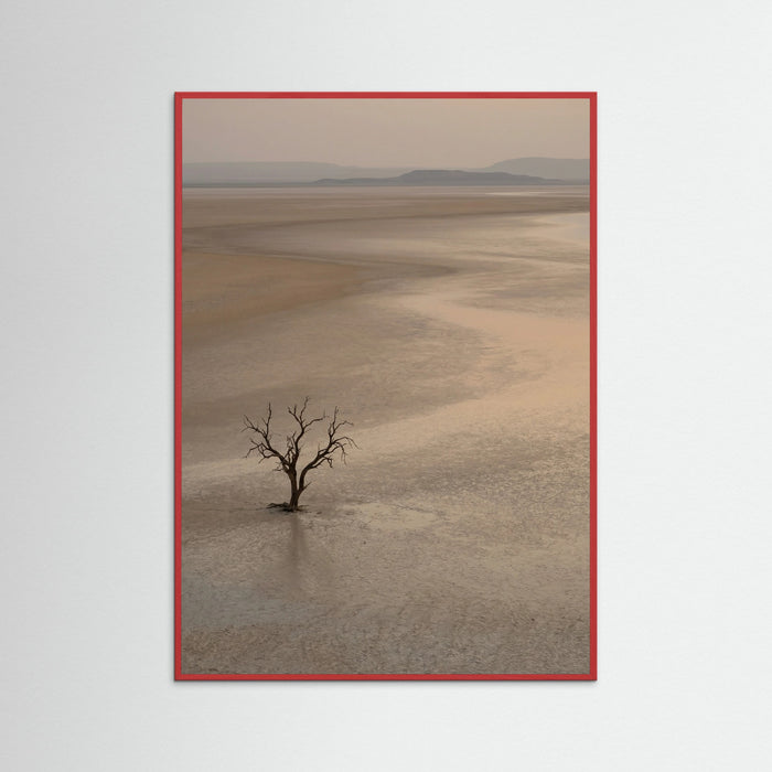 Red Wood Arid Horizon