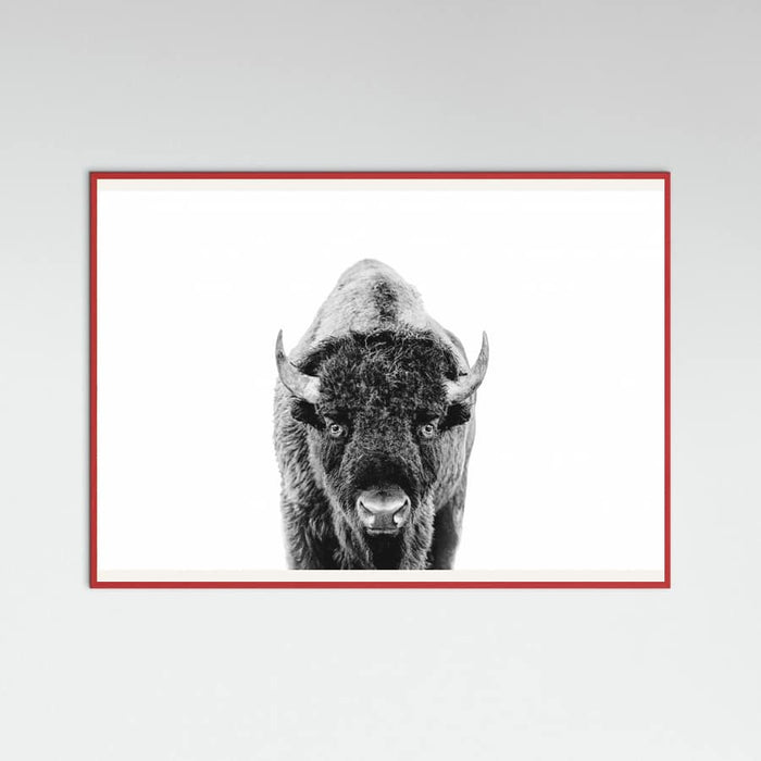 Póster Bison Bw – póster e impresión artística