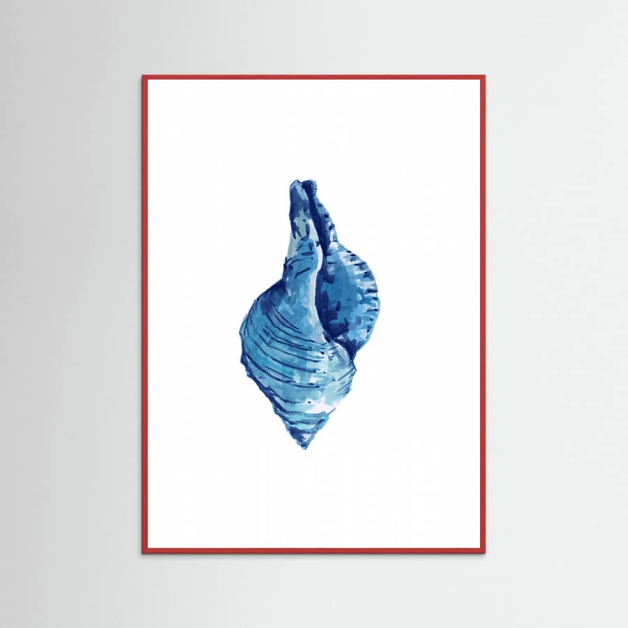 Affiche Blue Seashell On White Background No3 – affiche et impression d’art