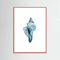 Blue Seashell On White Background No4 Poster – poster och konsttryck