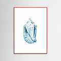 Blue Seashell On White Background No6 Poster – plakat og kunsttryk