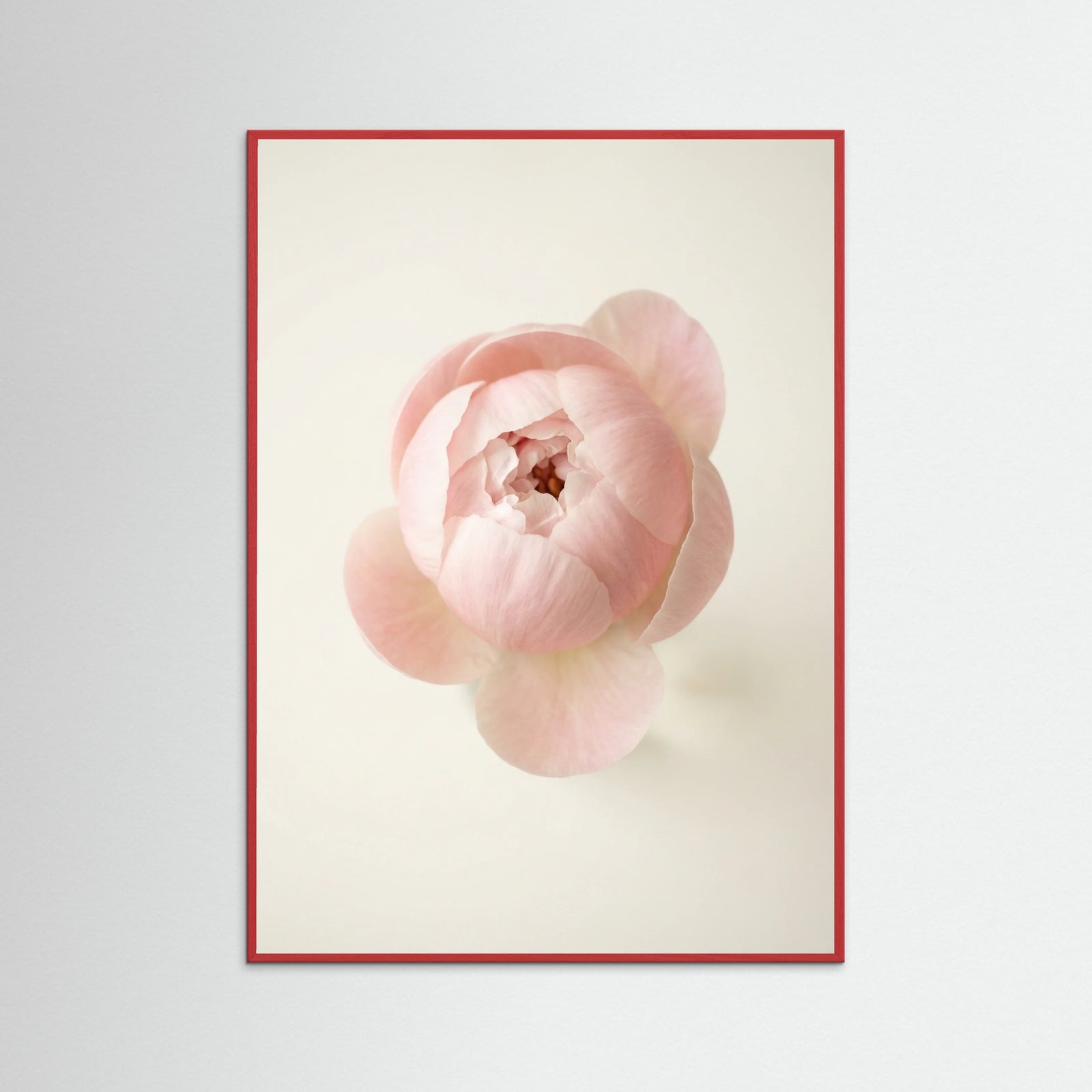 Red Wood Blushing Blooms