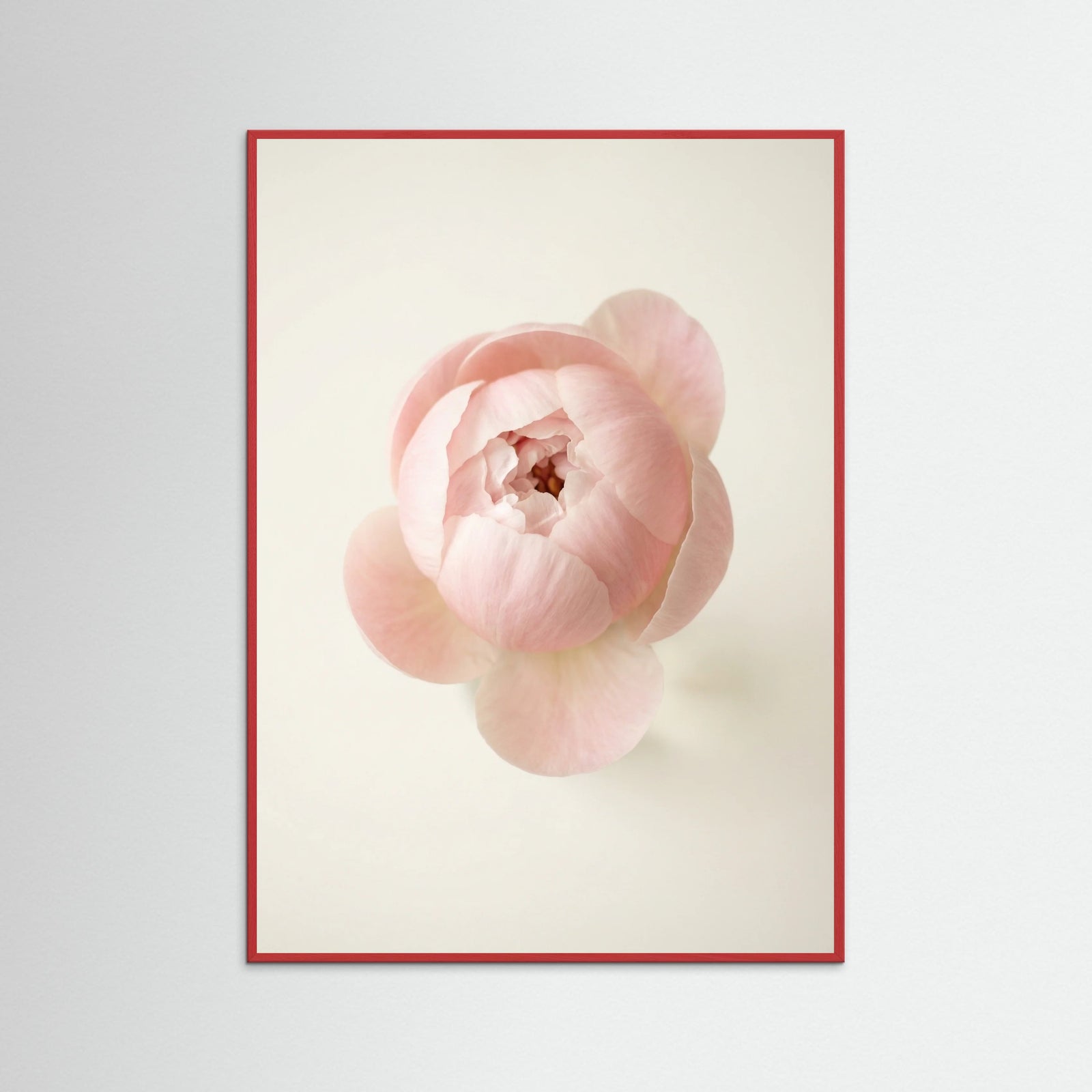 Red Wood Blushing Blooms