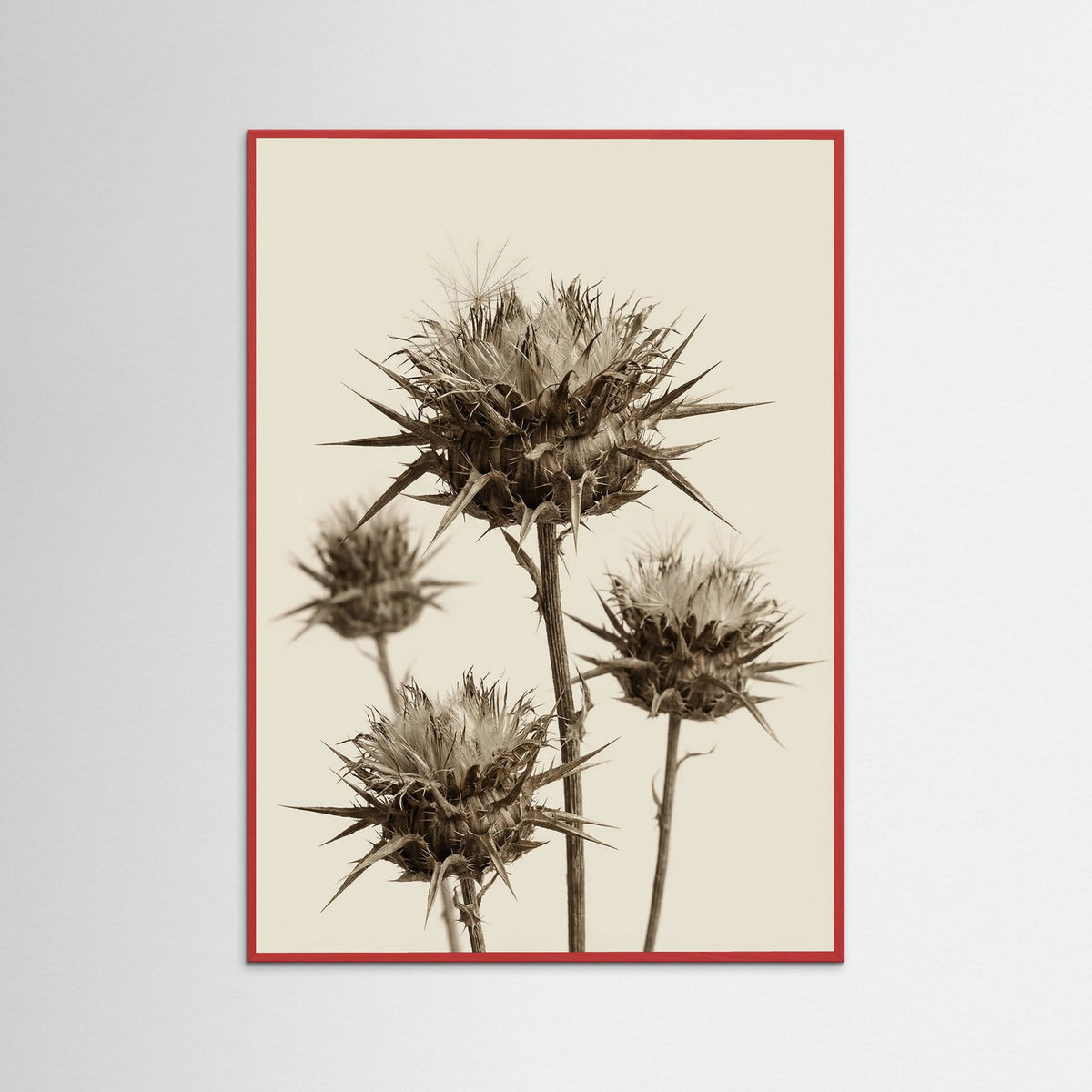 Red Wood Botanical Elegance