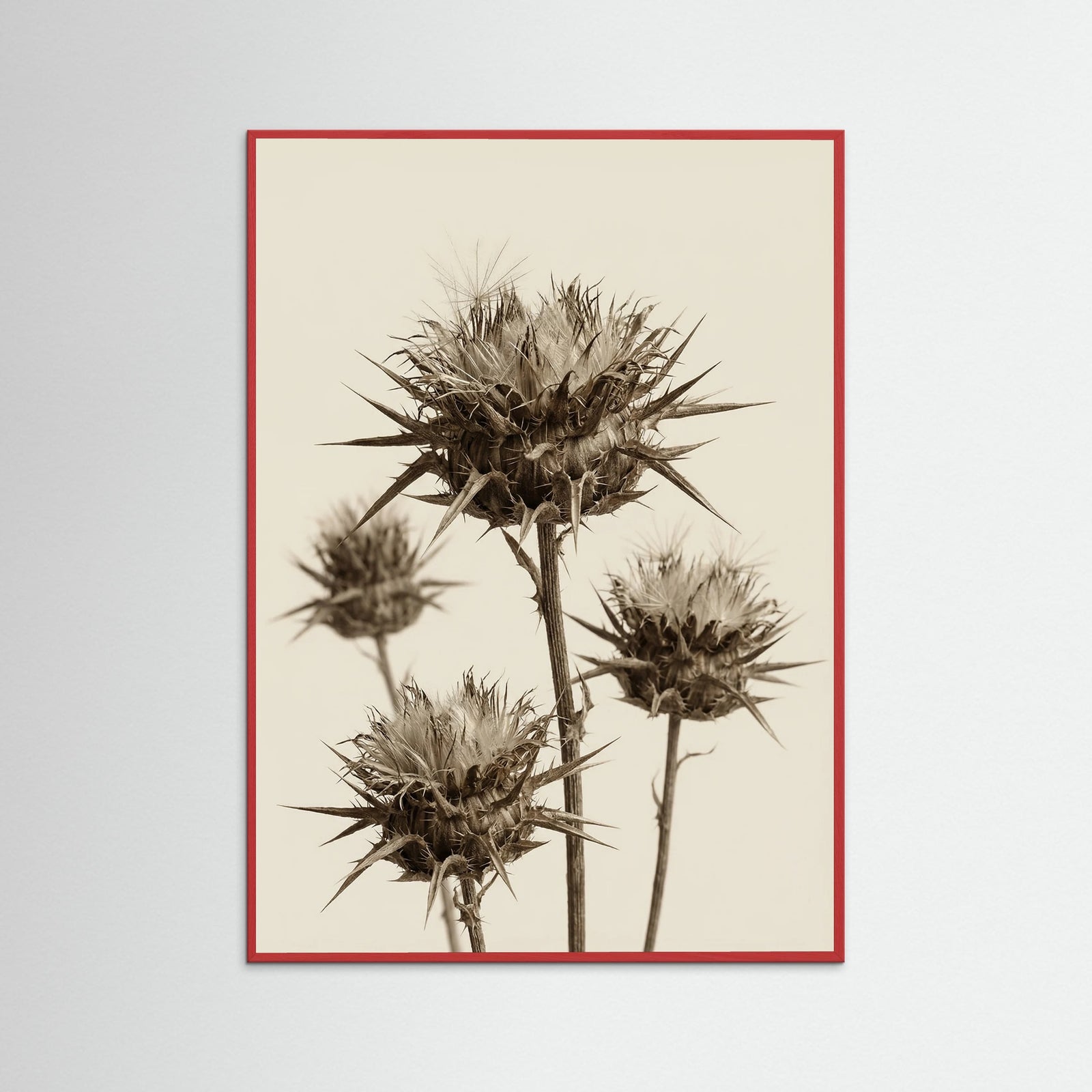 Red Wood Botanical Elegance