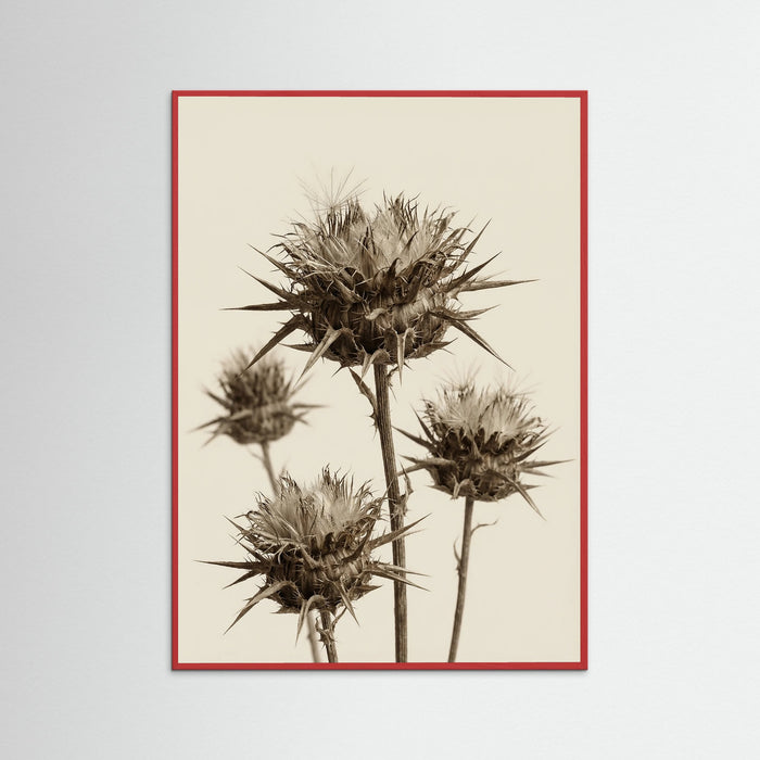 Red Wood Botanical Elegance