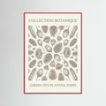 Red Wood Botanical Etchings