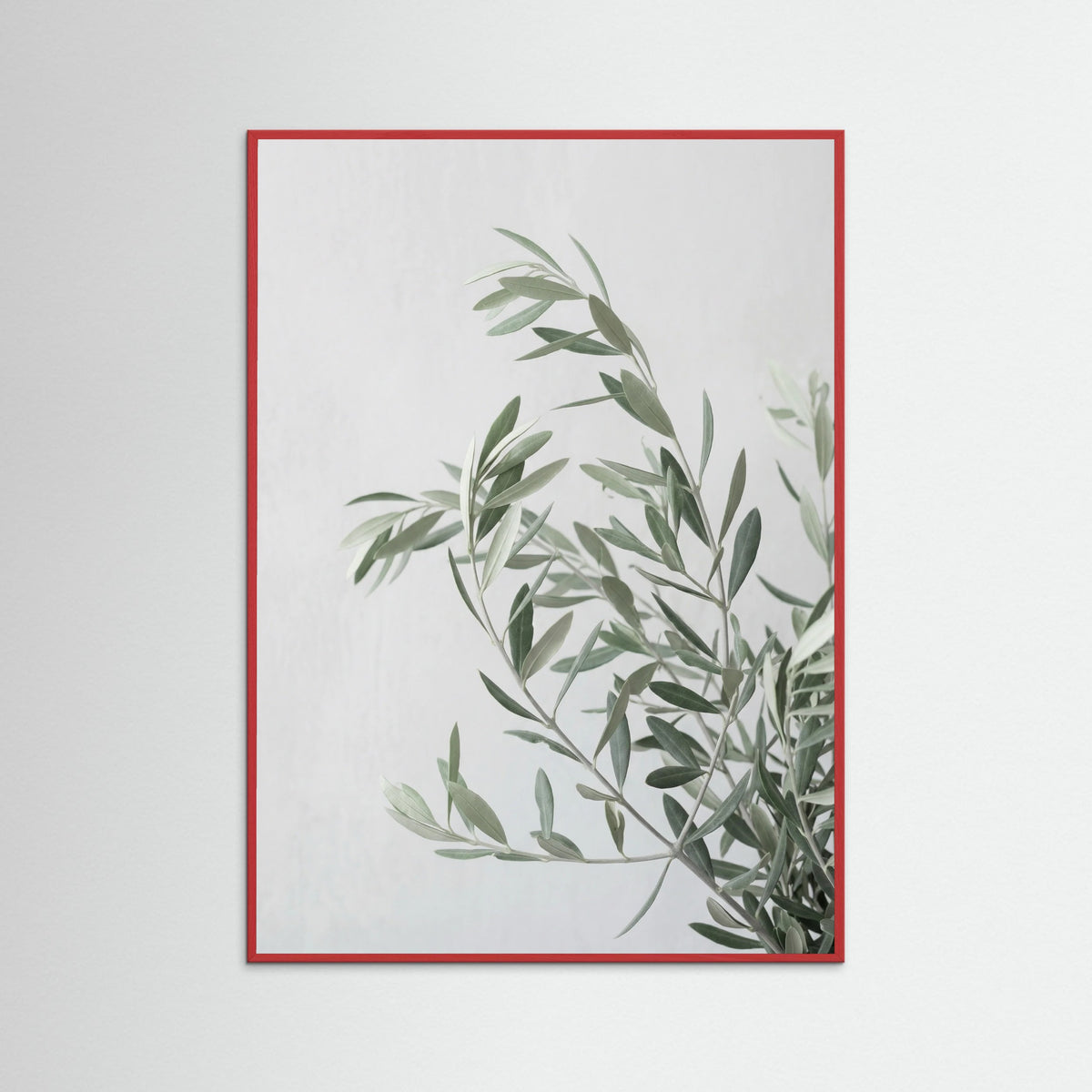 Red Wood Botanical Grace