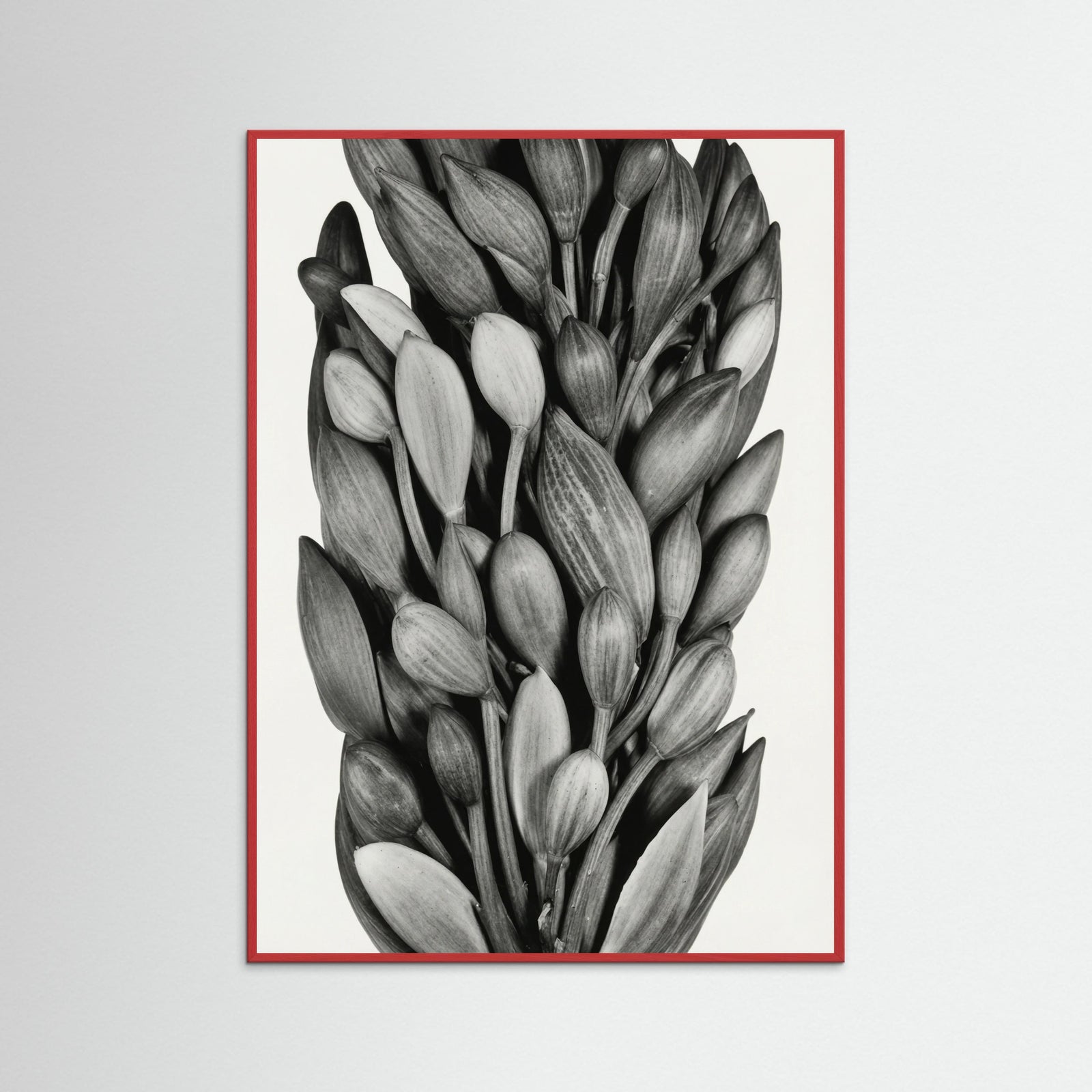 Red Wood Budding Forms