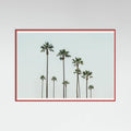 Póster Cali Palms – póster e impresión artística