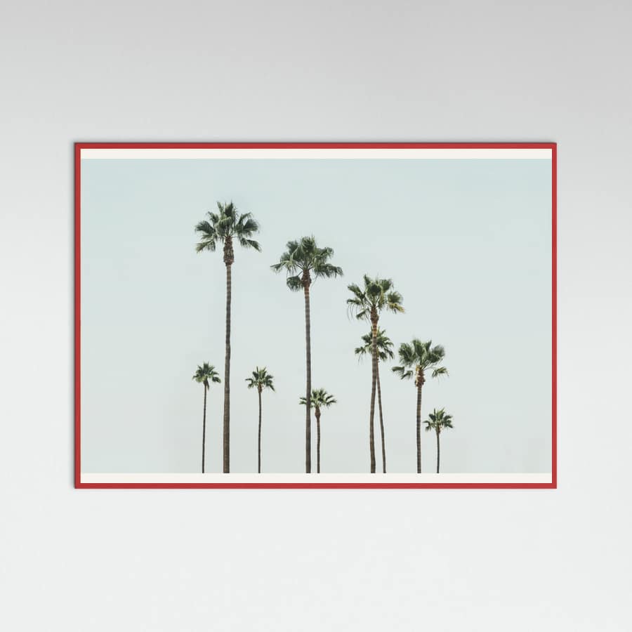 Póster Cali Palms – póster e impresión artística