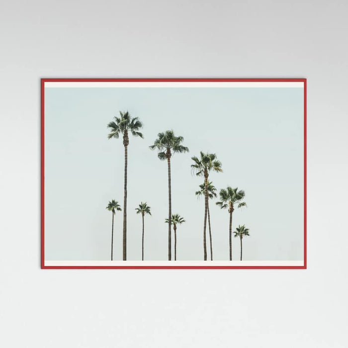 Póster Cali Palms – póster e impresión artística