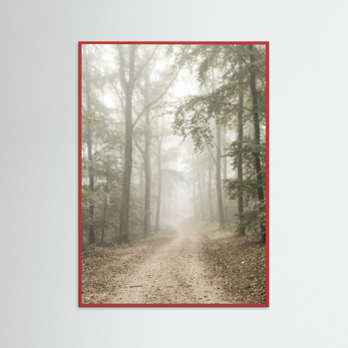 Red Wood Coastal Haze