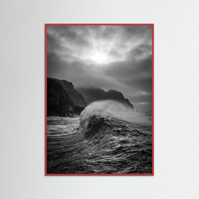 Red Wood Coastal Horizon