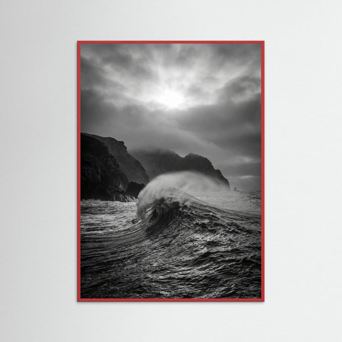 Red Wood Coastal Horizon
