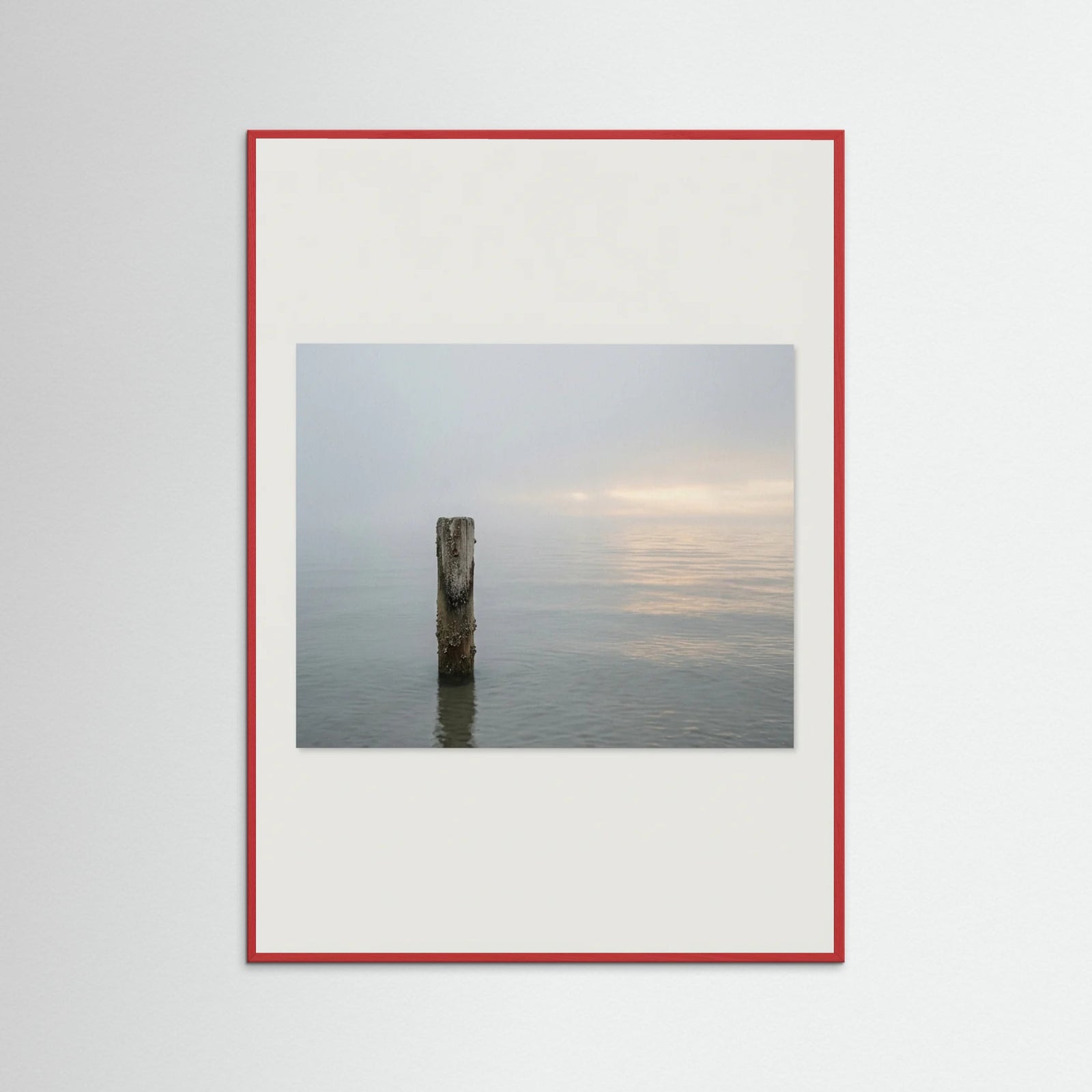 Red Wood Coastal Paths