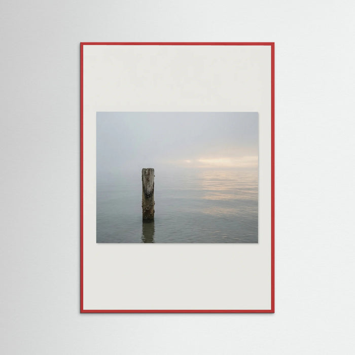 Red Wood Coastal Paths