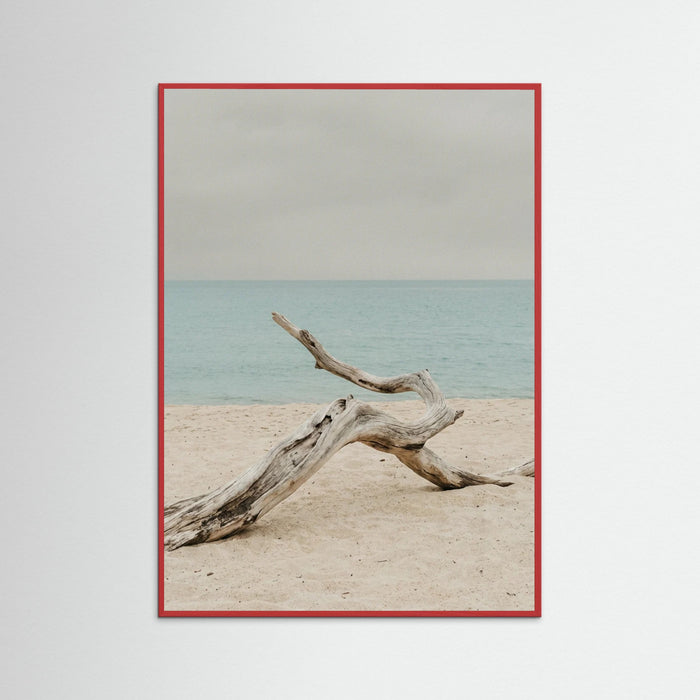 Red Wood Coastal Seren