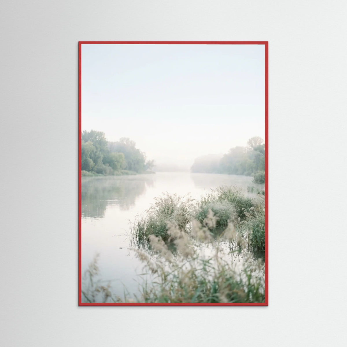 Red Wood Coastal Serenity