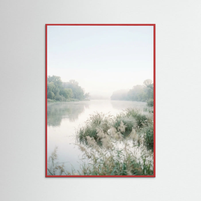 Red Wood Coastal Serenity