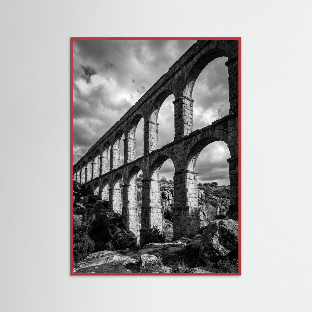 Red Wood Coastal Serenity