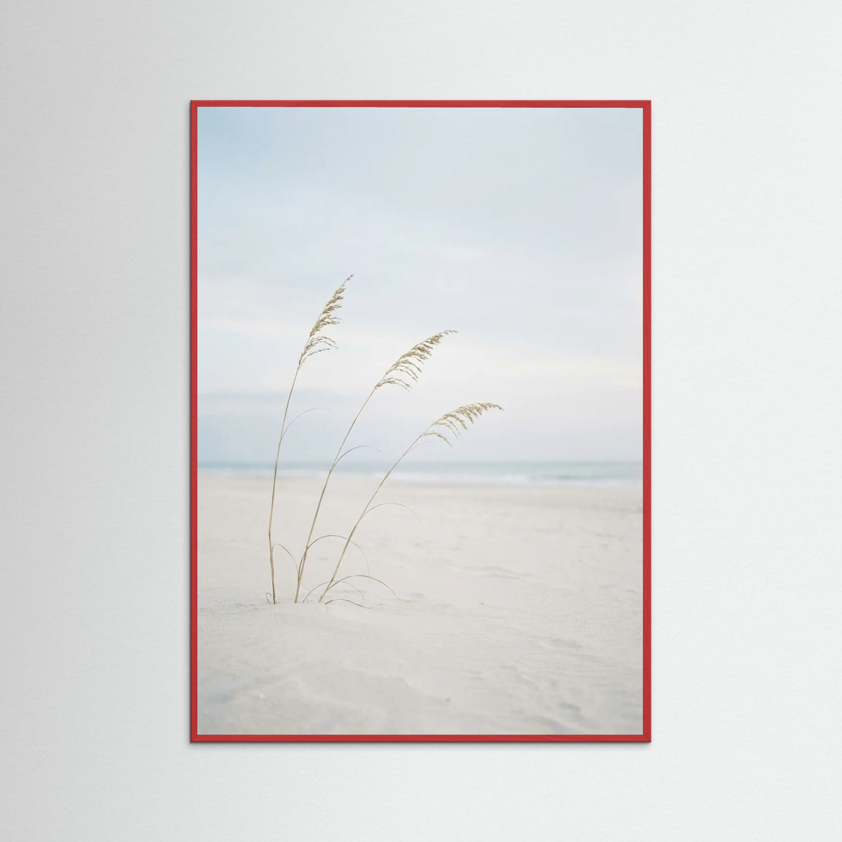 Red Wood Coastal Serenity