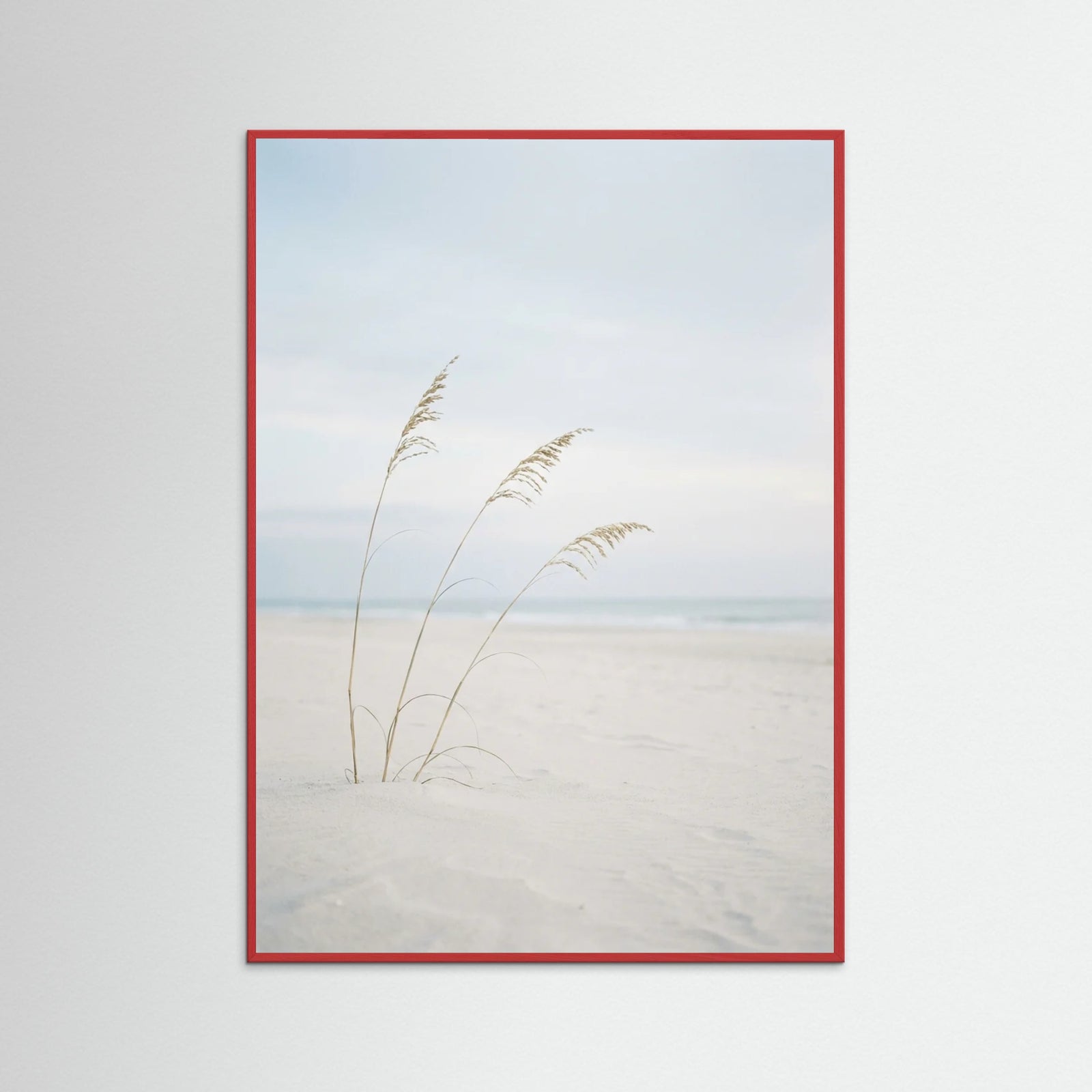 Red Wood Coastal Serenity