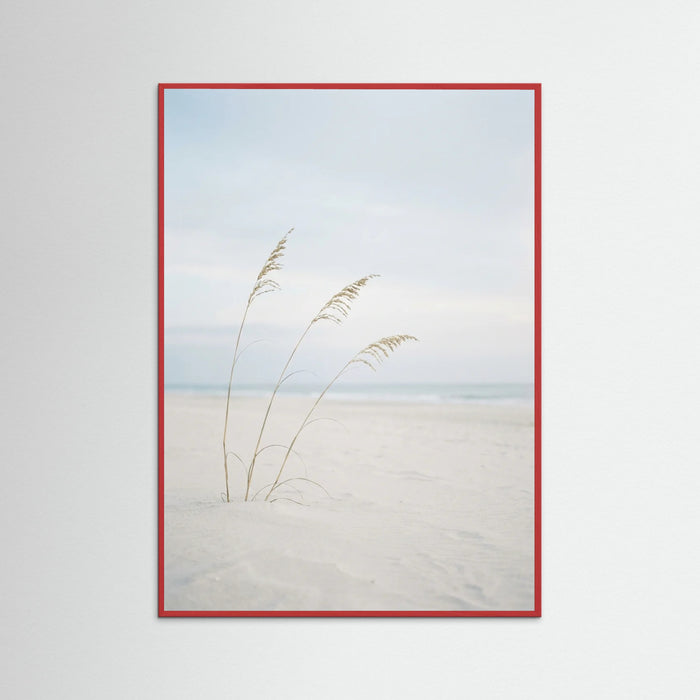 Red Wood Coastal Serenity
