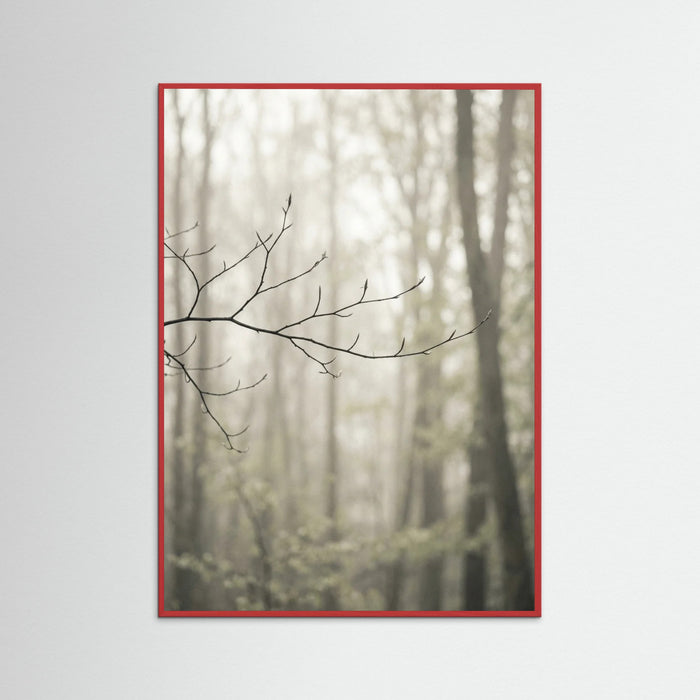 Red Wood Coastal Serenity