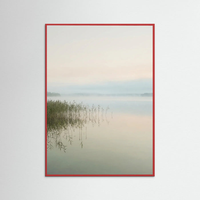 Red Wood Coastal Serenity