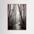 Red Wood Coastal Serenity
