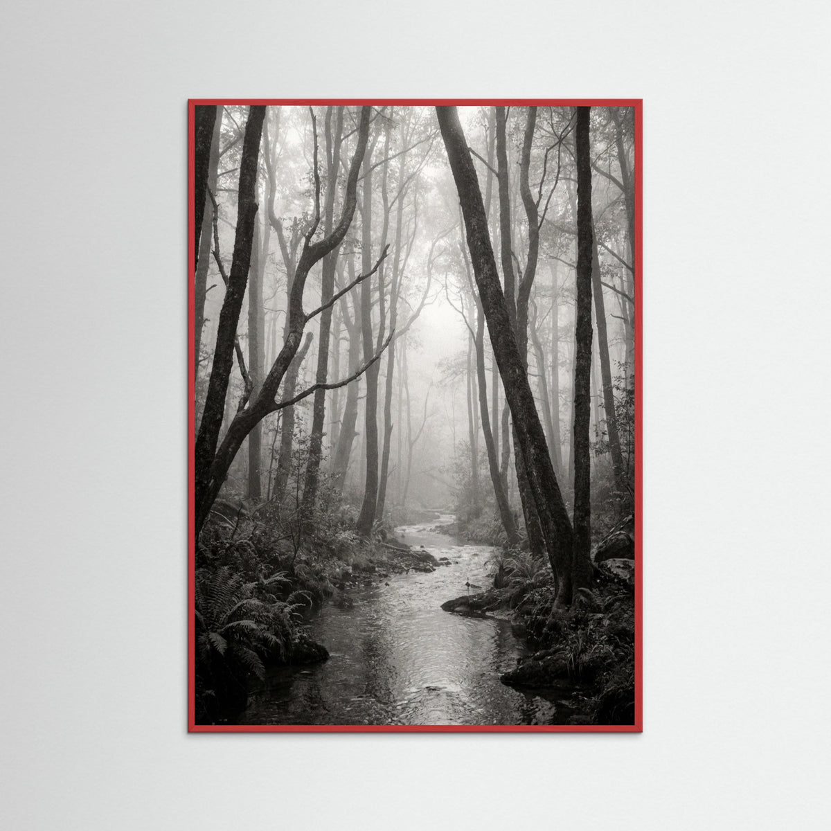 Red Wood Coastal Serenity