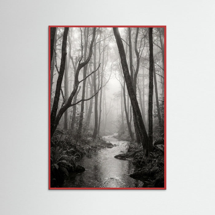 Red Wood Coastal Serenity