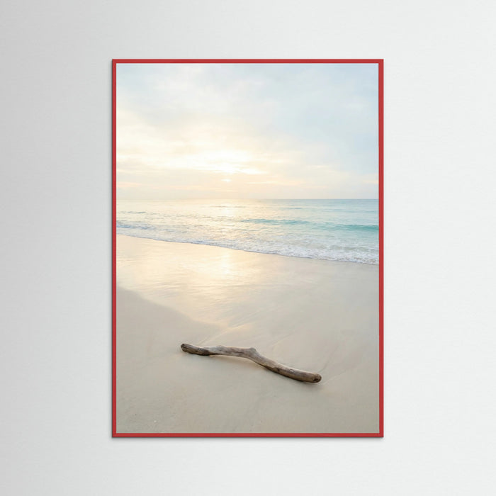 Red Wood Coastal Serenity