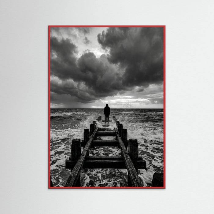 Red Wood Coastal Solitude