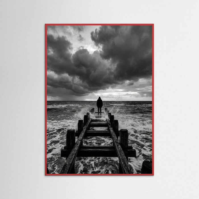 Red Wood Coastal Solitude