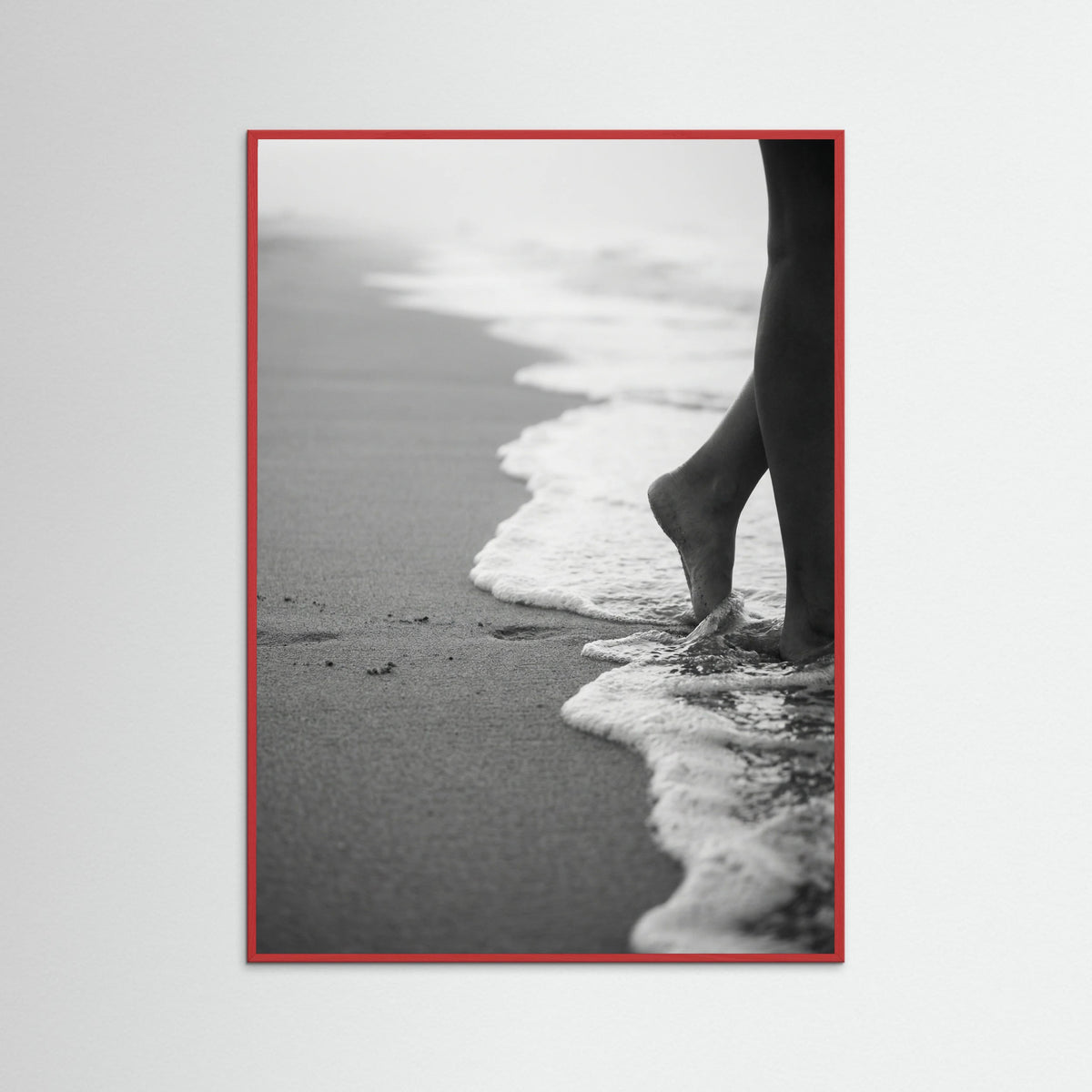 Red Wood Coastal Wanderer