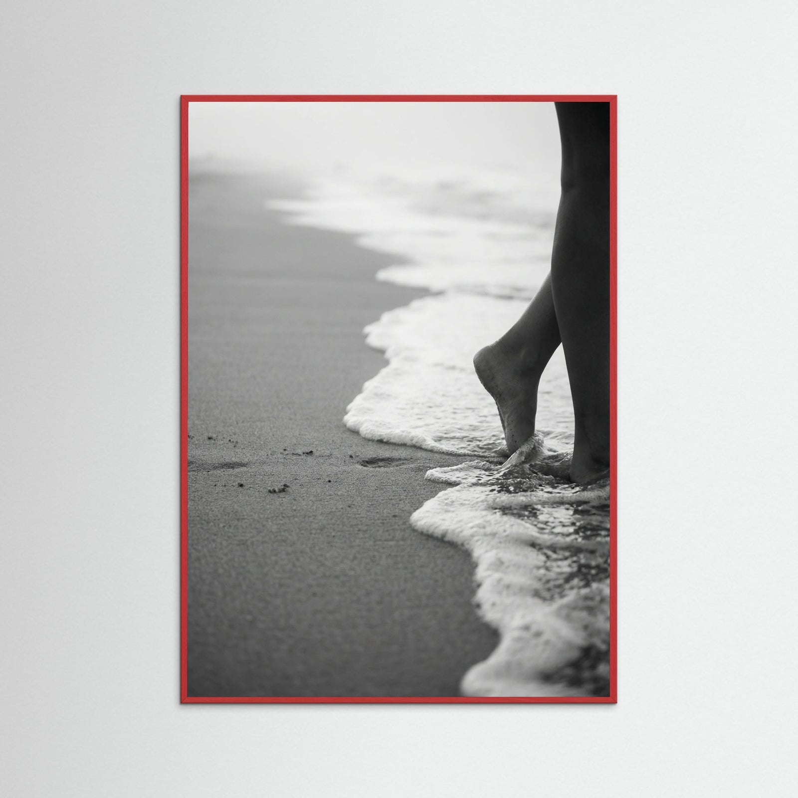 Red Wood Coastal Wanderer