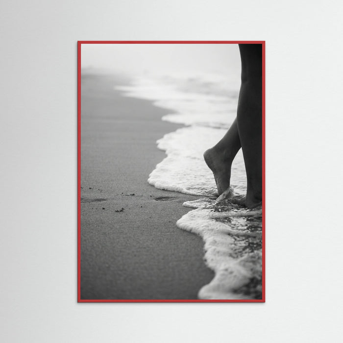 Red Wood Coastal Wanderer