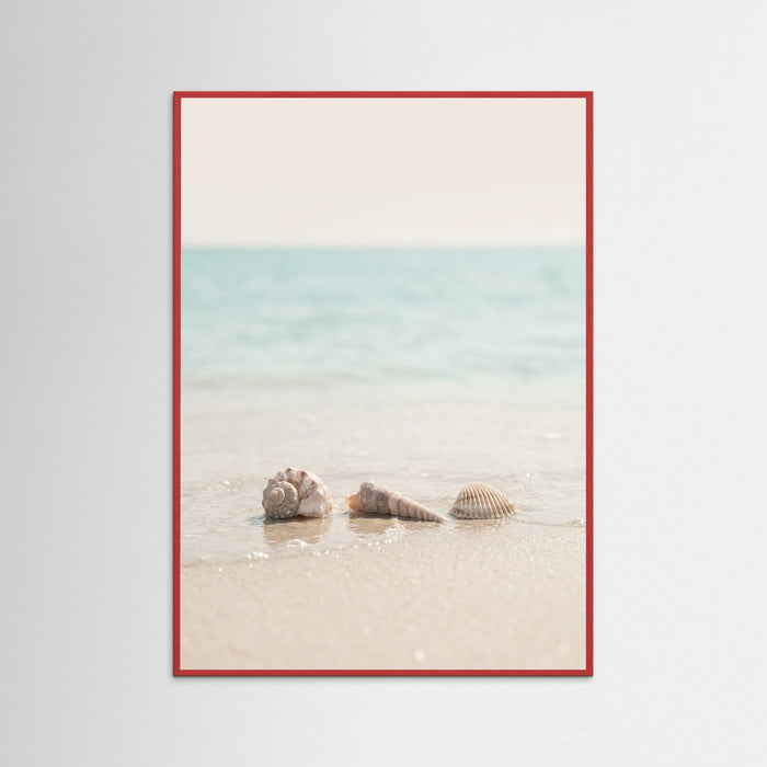 Red Wood Coastals Serenity