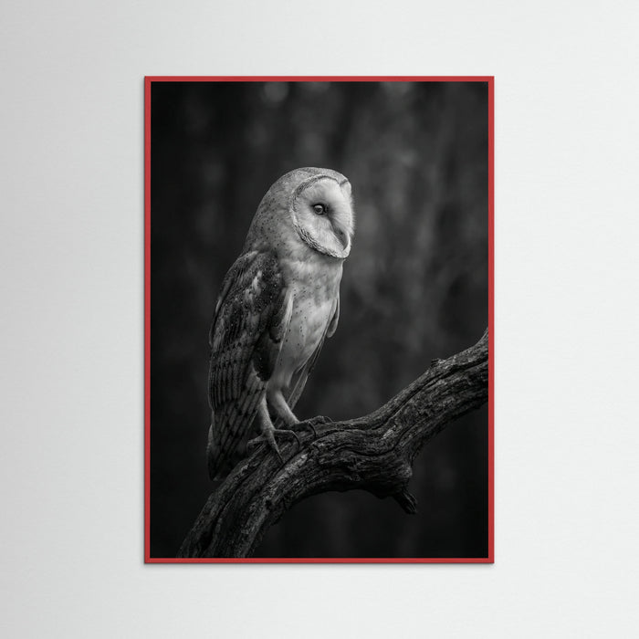 Red Wood Contrasting Companions