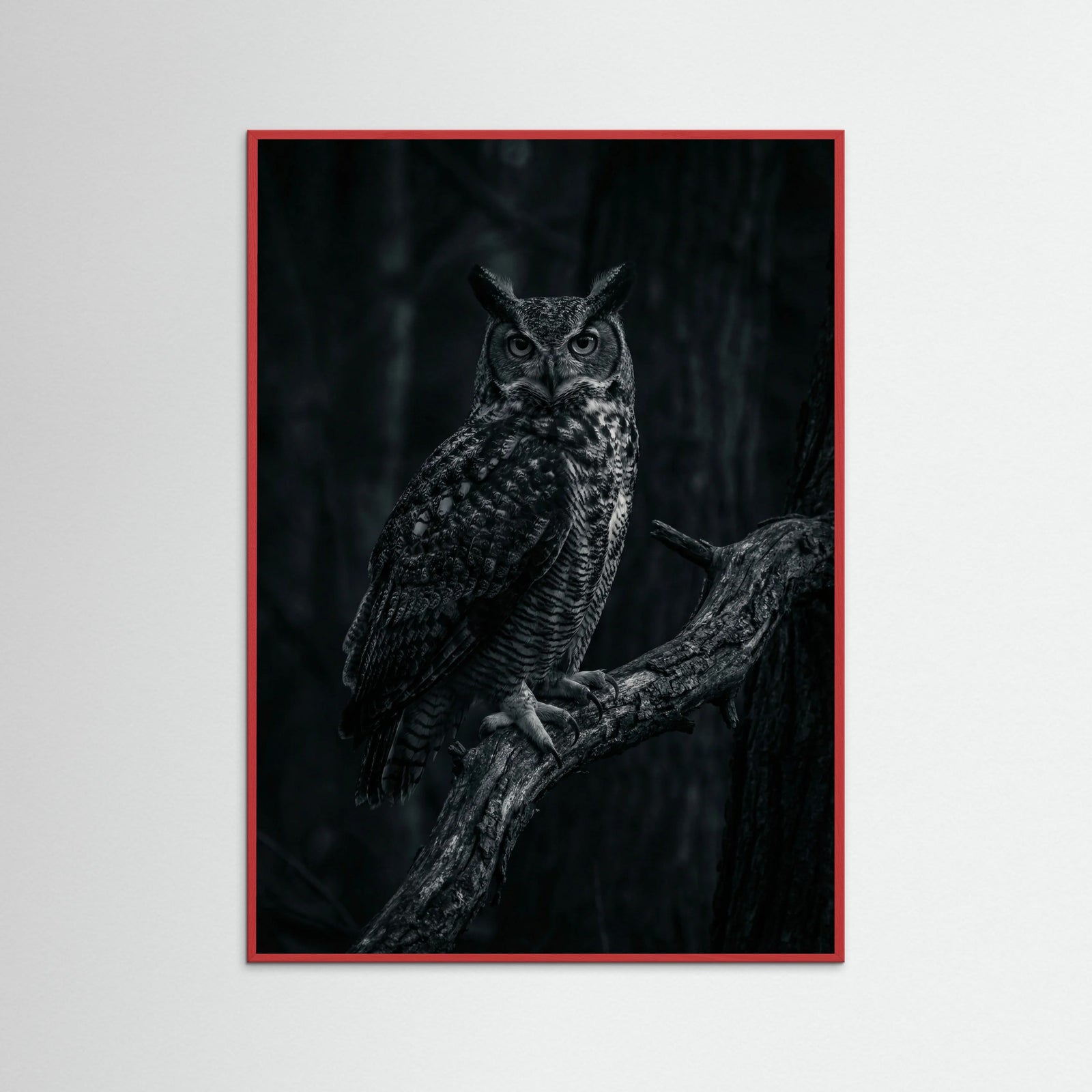 Red Wood Dark Congregation