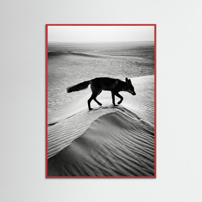 Red Wood Desert Spirit