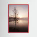 Red Wood Dusk Embrace