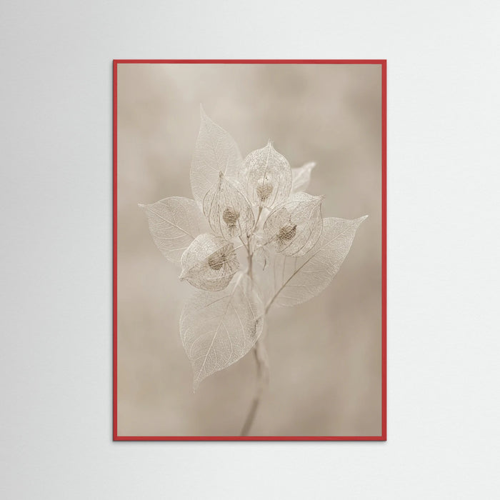 Red Wood Ephemeral Bloom