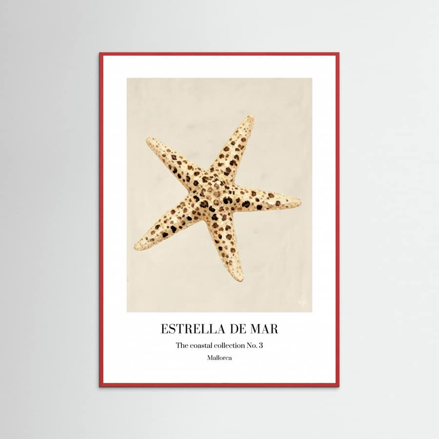 Affiche Estrella De Mar – affiche et impression d’art