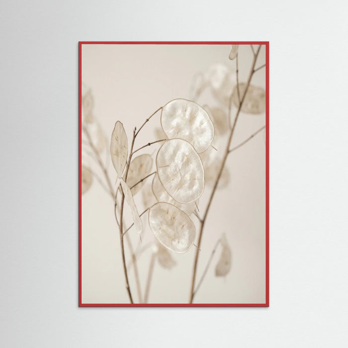 Red Wood Ethereal Plumes