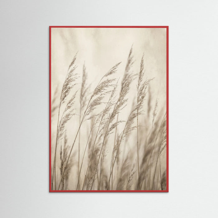 Red Wood Faded Grace